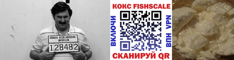 наркотики  Ростов  Cocaine Fish Scale 