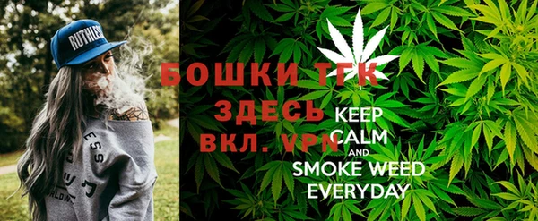 сатива Арсеньев