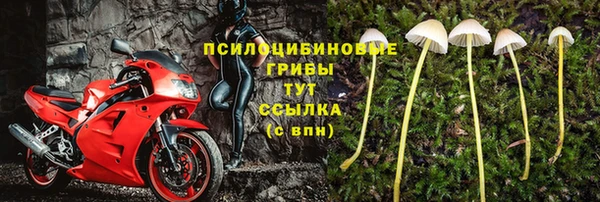 сатива Арсеньев