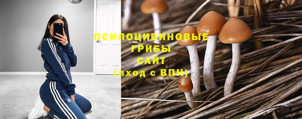 дурь Аркадак